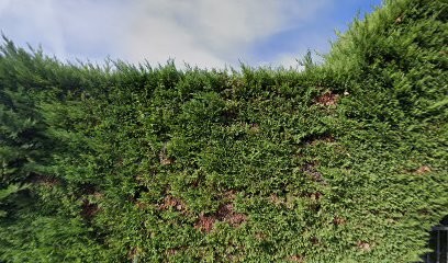 Ambulances Taxis Baconnier Joel, Ambulancier à Saint-Privat