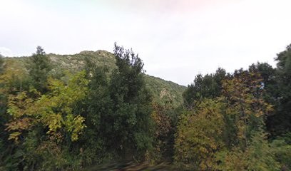 Agostini Thierry, Ambulancier à Castellare-di-Casinca