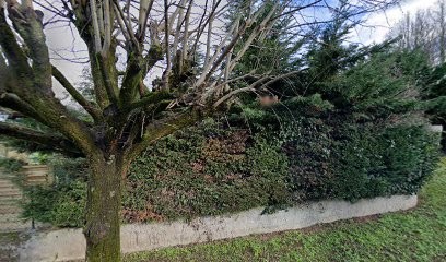 France Ambulances, Ambulancier à Satolas-et-Bonce