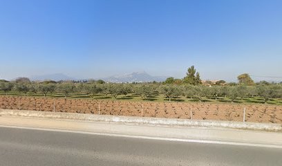 Mas Lionel, Ambulancier au Pradet