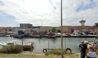 SARL PALAVAS AMBULANCE, Ambulancier à Palavas-les-Flots