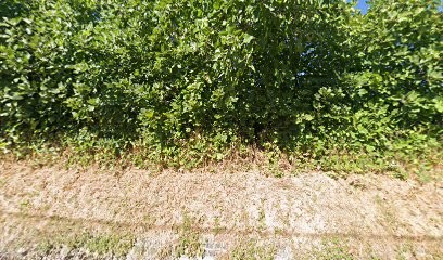 Ambulance Compagnie Istréenne, Ambulancier à Istres