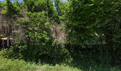 Alliance Ambulances, Ambulancier à Velleron