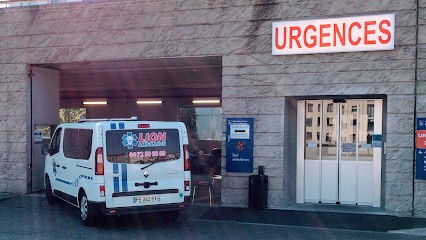 Lion ambulance, Ambulancier à Vénissieux