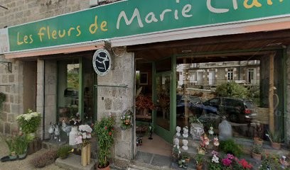 Tence Ambulances, Ambulancier au Chambon-sur-Lignon