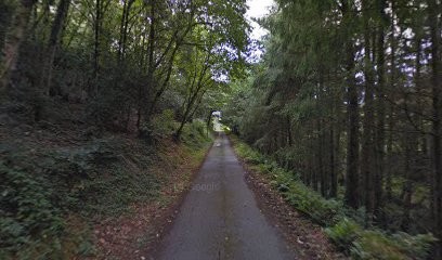 Ambulance Asso 29, Ambulancier à Plonéis